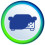 Car Cover