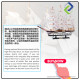 Creative Wooden Ship Model – 60cm Business Gift and Home Decor Piece