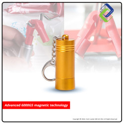 Enhance Security with 6000GS GOLD Detacher Key | Retail Display Anti-Theft
