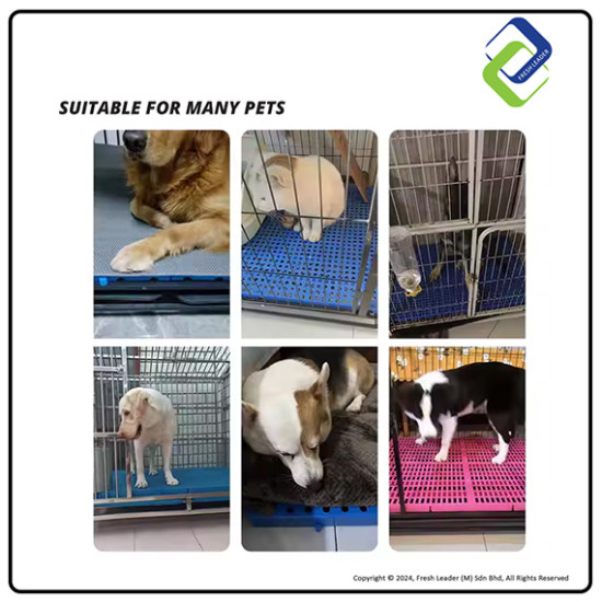 Heavy-Duty Square Mesh Pallet Board 30x30x5cm – Moisture-Proof & Durable Flooring Solution