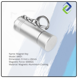 6000GS Magnetic Detacher Key